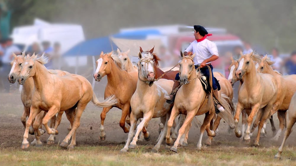 Se acerca la 50ª edición de la Fiesta Nacional del Caballo