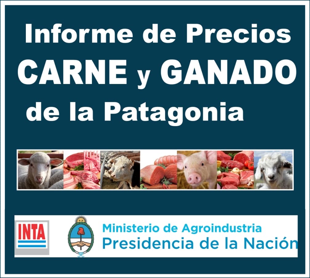 Informe de precios de carne y ganado de la Patagonia N° 42 – Septiembre 2017