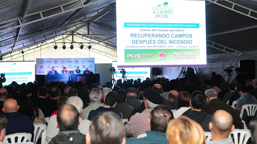 Más de 300 productores participaron en la jornada del IPCVA en la pampa