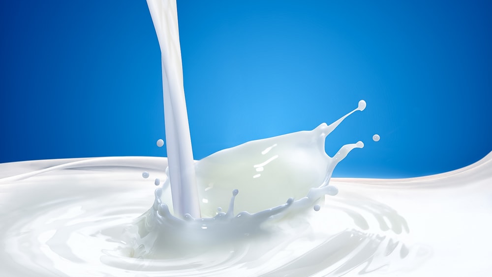 ¿Por qué se celebra un día dedicado a la leche?