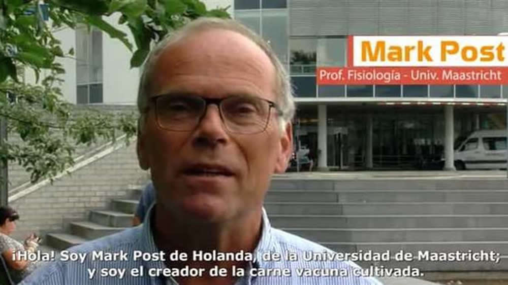 Un experto que creó la carne cultivada desafía a las vacas: «Gran parte de la producción cambiará o desaparecerá»