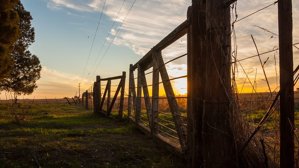 Preocupación por el estancamiento del mercado inmobiliario rural