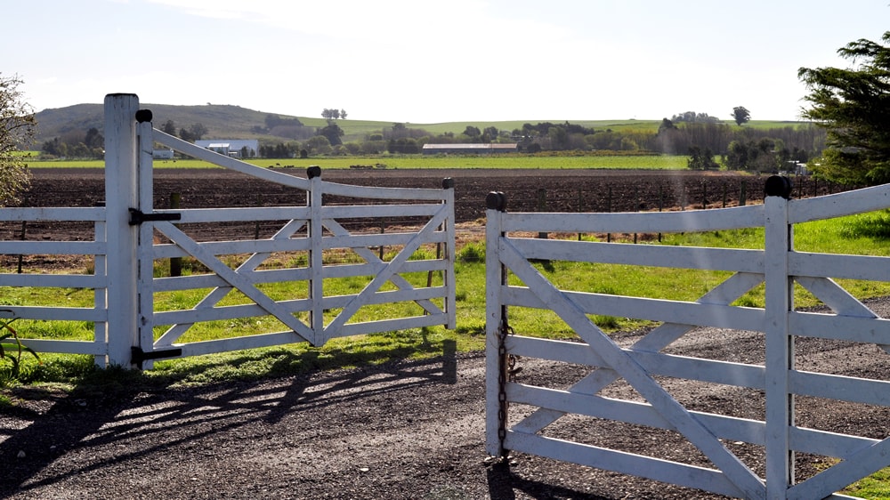 Bajó 1,77% la actividad en el mercado inmobiliario rural en Septiembre