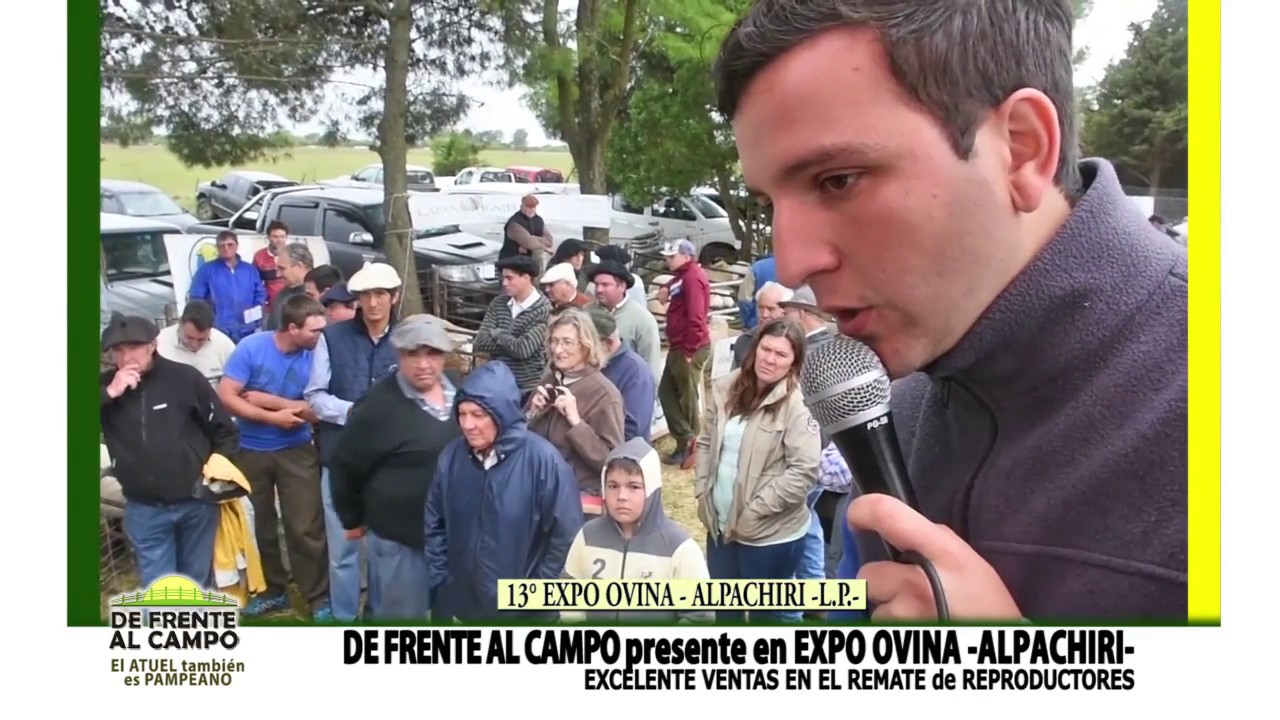 Remate de Reproductores Pampinta – Expo Ovinos 2017 – Machos – Hembras – PP-PC