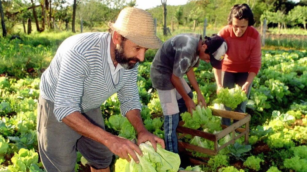 Se reglamentó el uso del Sello «Producido por la Agricultura Familiar»