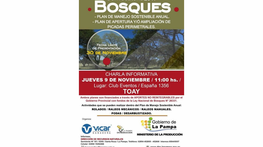 Convocatoria 2017: Bosques