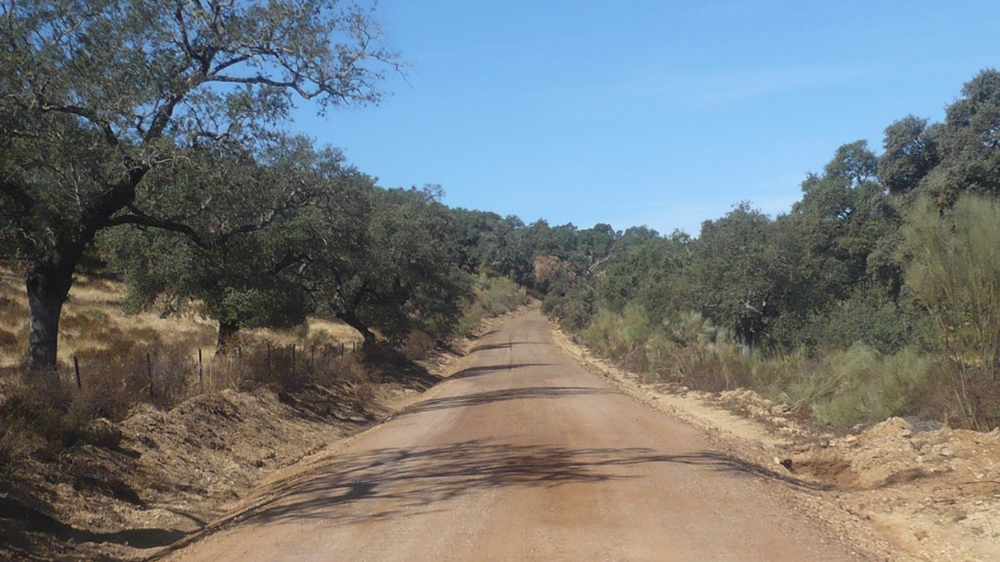 Más del 60% de los caminos rurales está en regular o mal estado