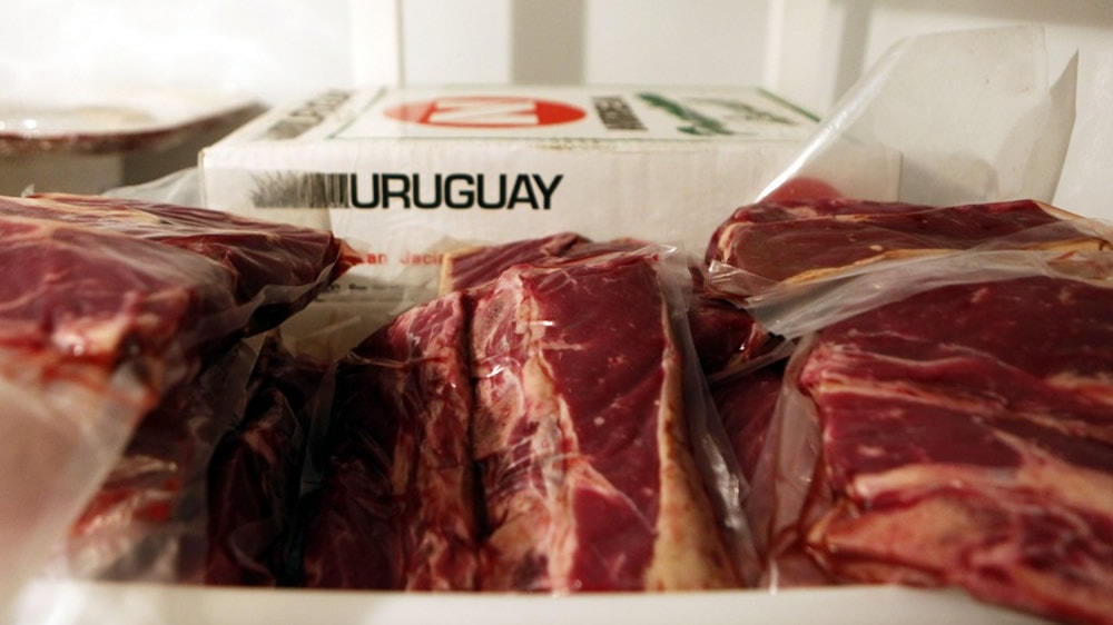 Carne uruguaya congelada para exportación
