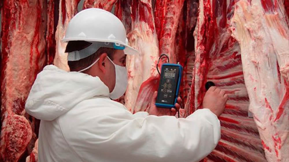 Las exportaciones de carne, firmes a pesar del nuevo esquema