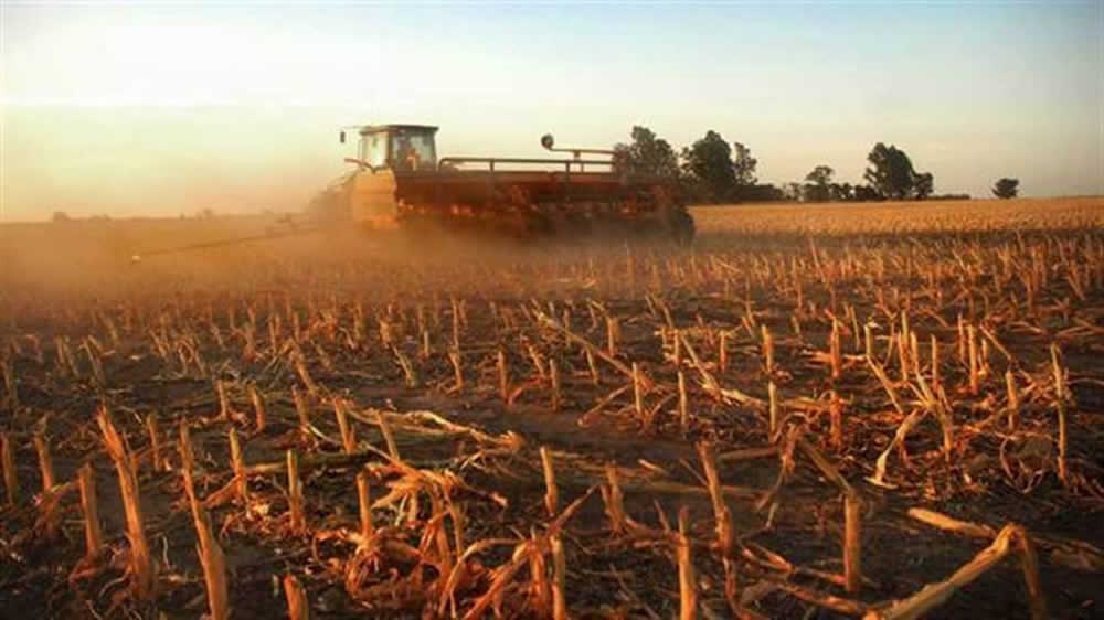 Un alivio para los productores: por la sequía, el costo de cosecha subió menos que la inflación