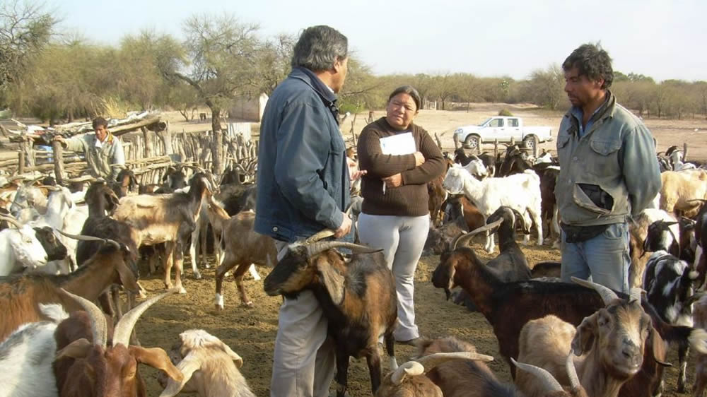 Producciones familiares buscan enfrentar el cambio climático