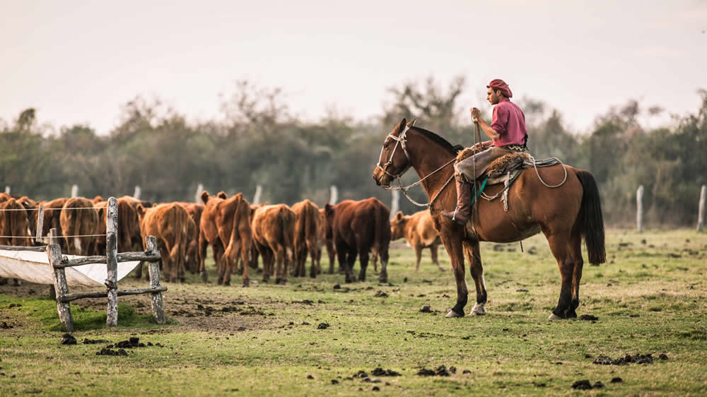 Personal rural: establecen seguro de vida obligatorio