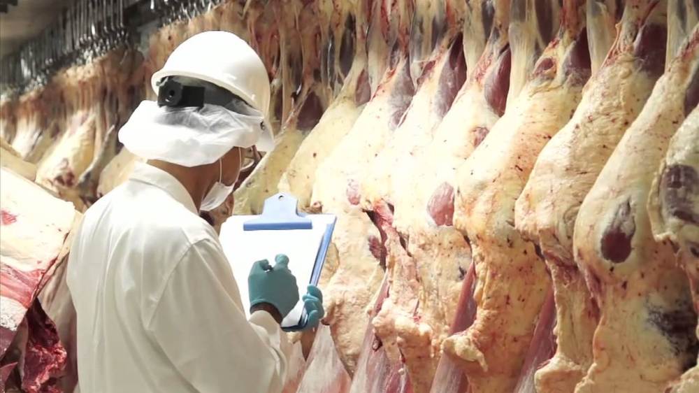Crece la exportación de carne vacuna