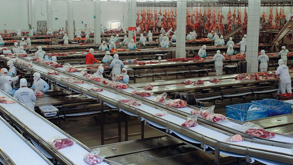 «No tenemos una buena tipificación de la carne en Argentina»