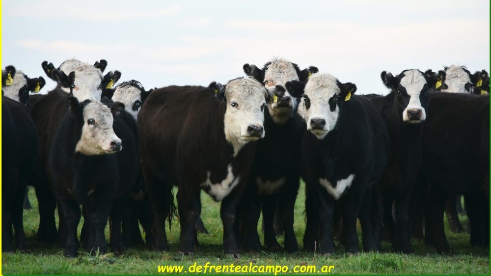 Jornada sobre agro negocios en Alta Italia