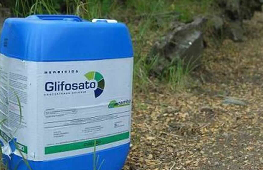 El glifosato, prohibido sin sustento científico: «Un ataque directo al sistema productivo argentino»