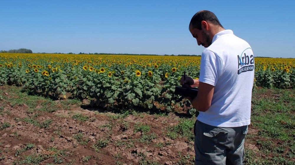 El mercado inmobiliario rural está «paralizado»