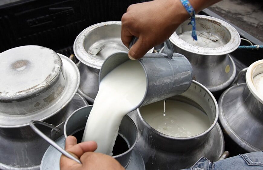 Federación Agraria advierte que cientos de familias están dejando la producción de leche