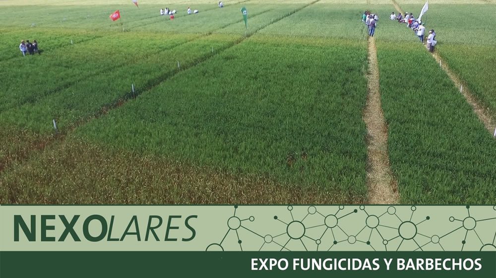 La primera exposición de fungicidas y barbechos se llevó a cabo en Pergamino