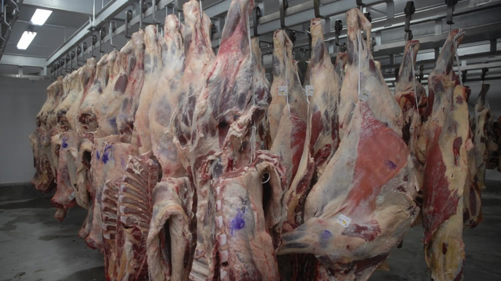 La faena creció en Córdoba 5,5%: carne para 4,12 millones de personas