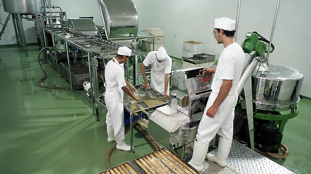 Buenas prácticas de manufactura en salas de extracción de miel
