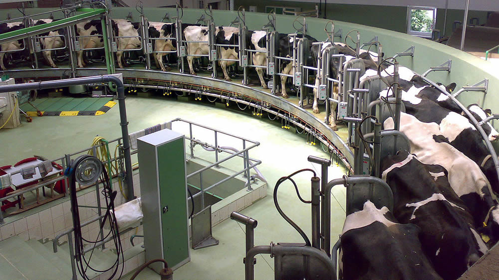 ¿Cresud sale del negocio de la leche?