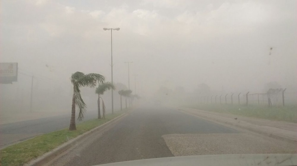 Así quedó un campo tras la tormenta de viento