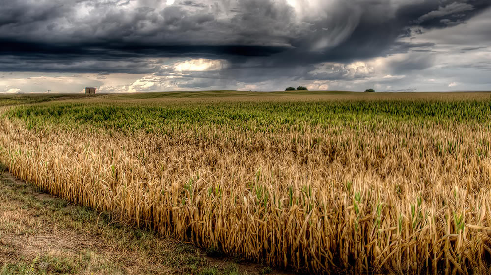 Pronóstico de lluvias hasta el 9 de enero de 2018