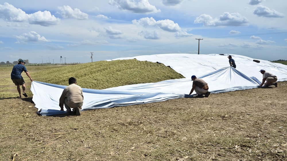 Conozca estas claves para el buen sellado del silo