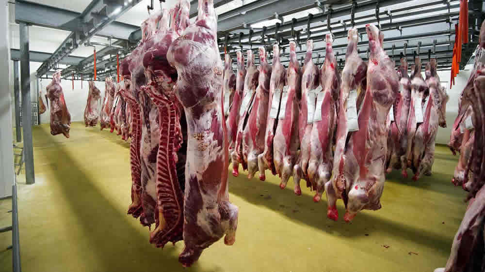 Uruguay : Importadores chinos ofrecen hasta US$ 400 menos por tonelada de carne