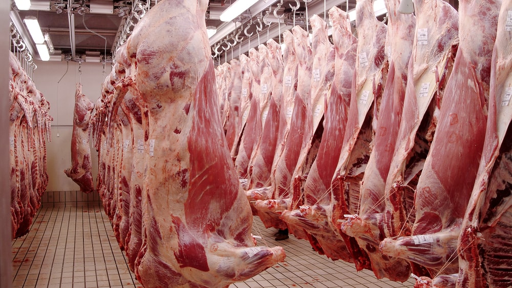 Carne: polémica por un acuerdo con China