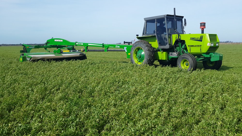 Aprueban la comercialización de una nueva alfalfa genéticamente modificada