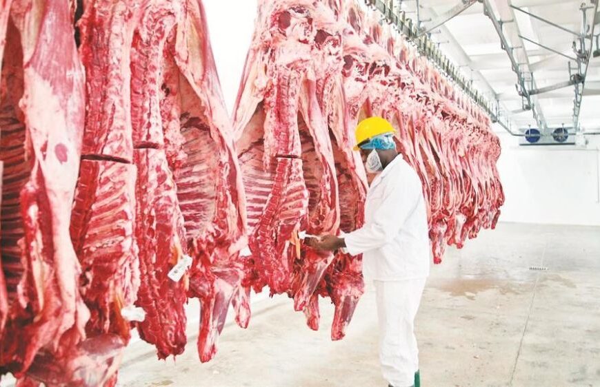 Se mantienen los liderazgos entre los principales faenadores bovinos de la Argentina