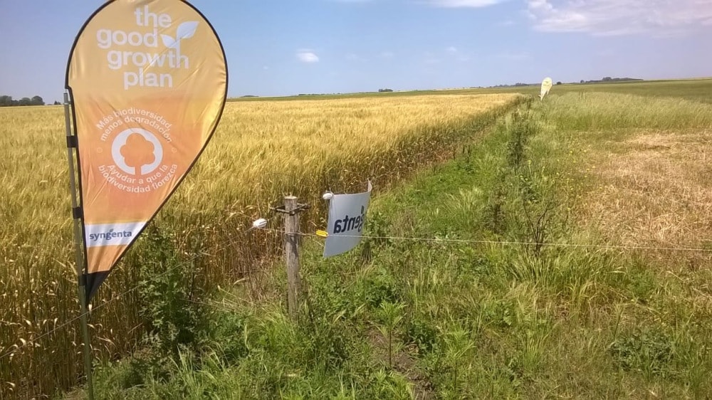 Syngenta trabaja junto con los productores para promover la biodiversidad