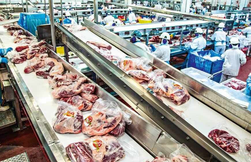 La empresa que invirtió en Argentina para faenar casi 6000 cabezas de bovinos por día: es el segundo productor de carne bovina de Sudamérica
