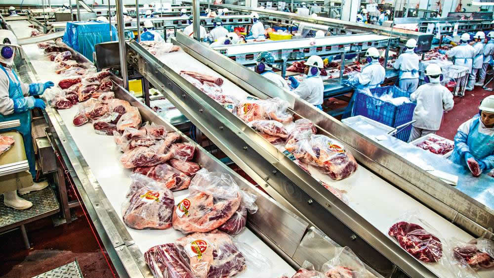 La empresa que invirtió en Argentina para faenar casi 6000 cabezas de bovinos por día: es el segundo productor de carne bovina de Sudamérica