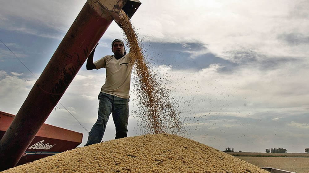 Ya se vendió el 89% de la cosecha