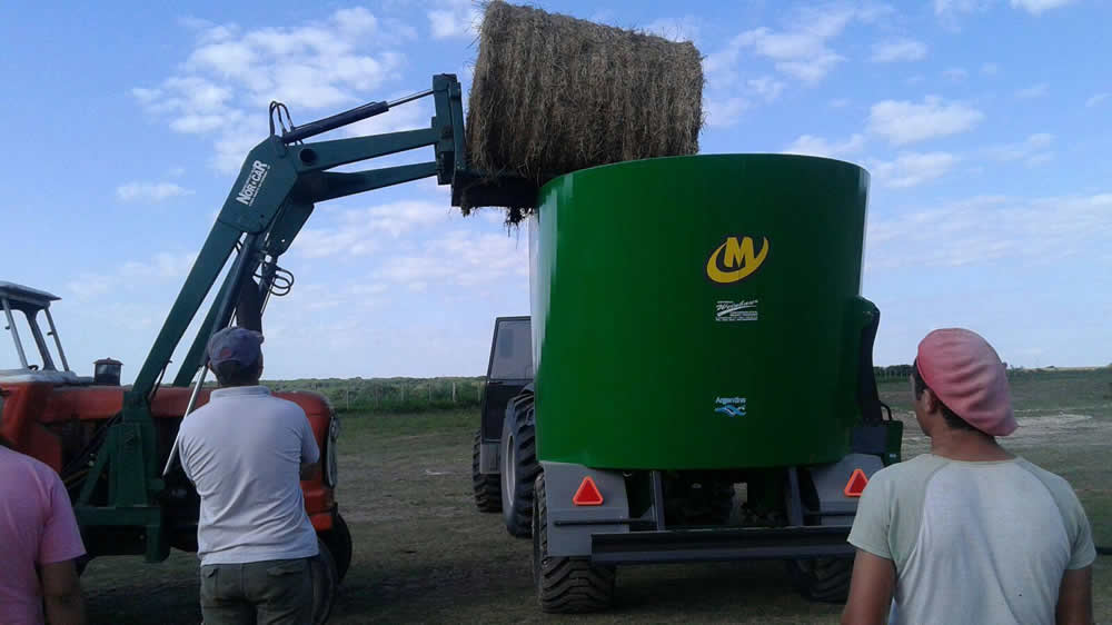 La henificación como herramienta para incrementar la eficiencia del uso de pasturas megatérmicas