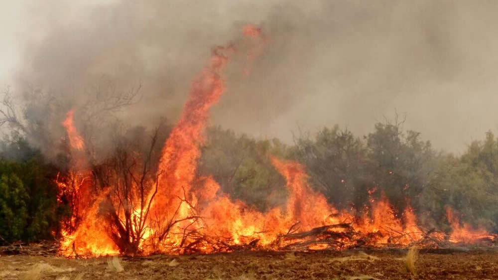 Prevén un verano con graves incendios, fuertes tormentas y cortes de luz