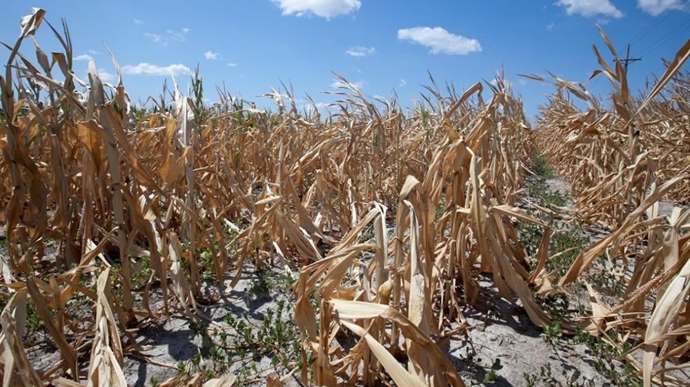 «La Niña» se intensifica