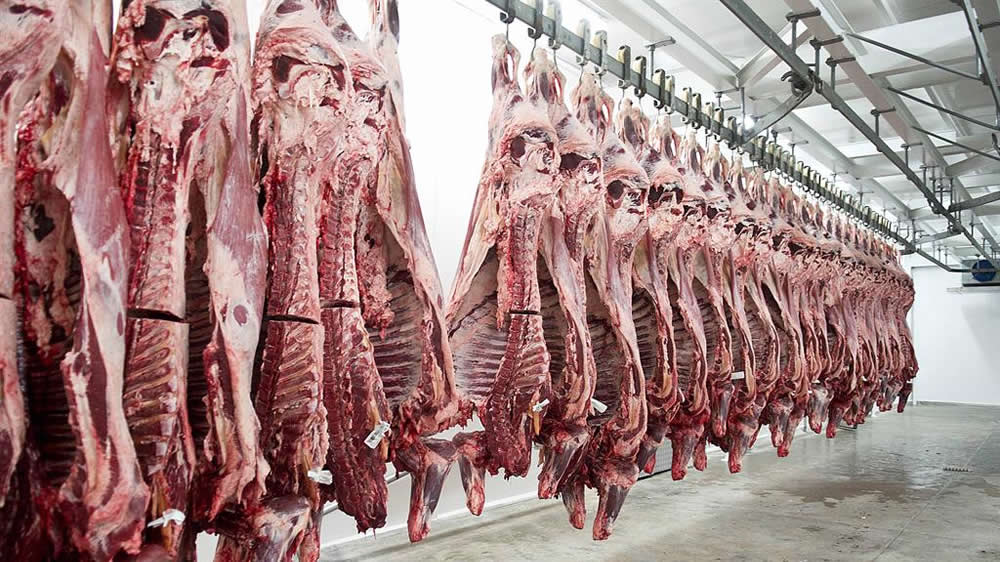 La Mesa de Carnes presentará un proyecto para desgravar impuestos