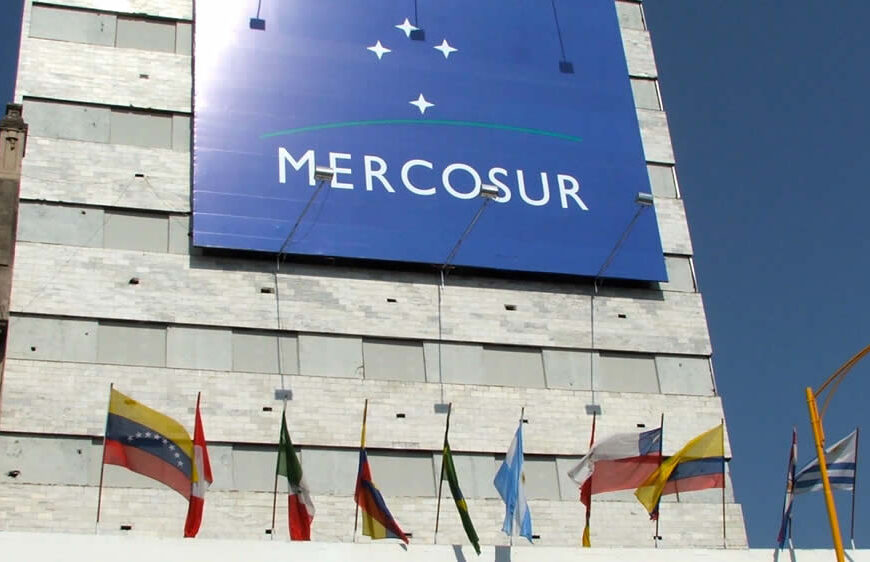 Novillo Mercosur: el dólar carne llegó a los $200 en la Argentina, con una brecha del 150%
