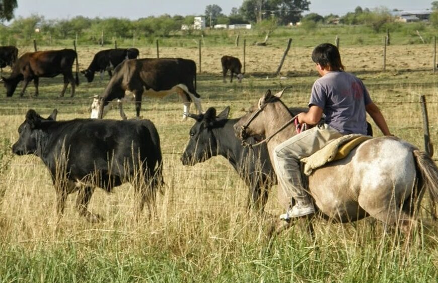 Acuerdo salarial: anunciaron un aumento para los trabajadores rurales permanentes