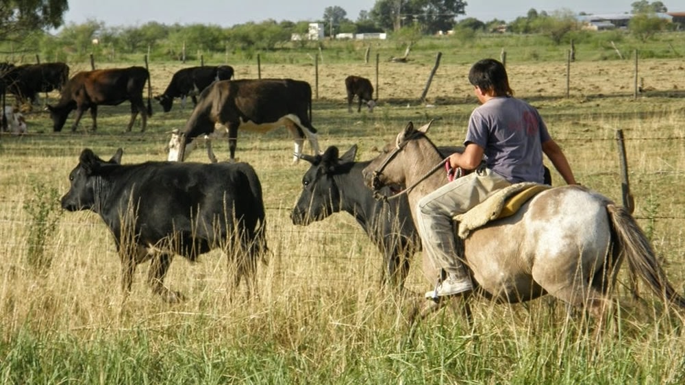 De la cosecha al almacenamiento: nuevos salarios para las labores del campo