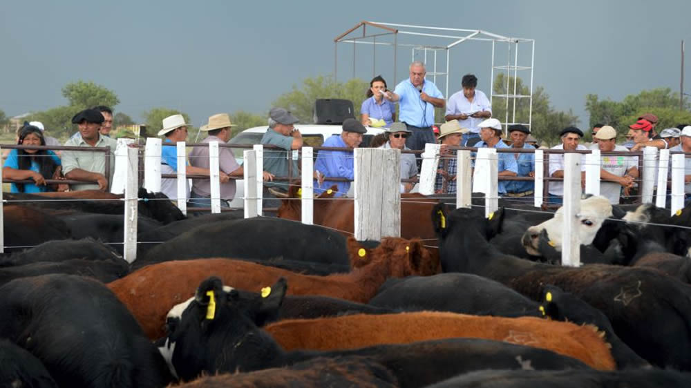 Retenciones. Las medidas del Gobierno podrían acelerar la liquidación de vacas