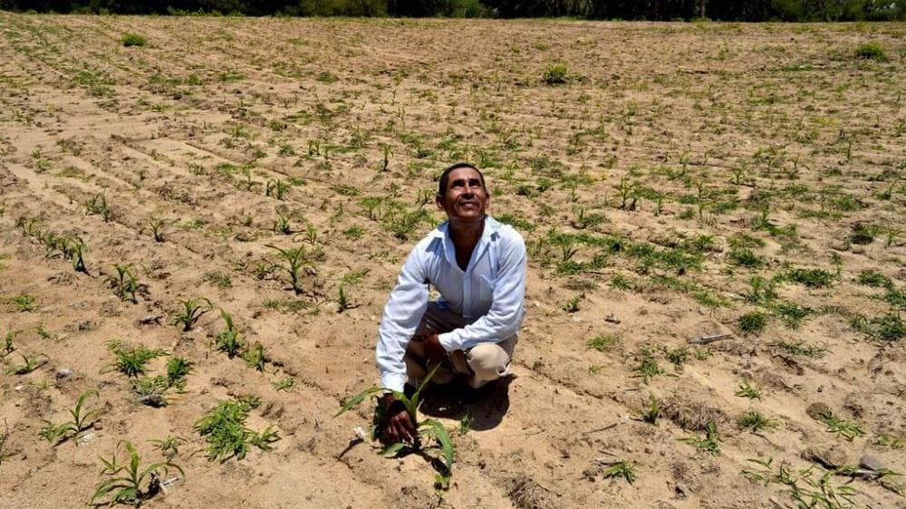 La falta de agua ya afecta a más del 80% de las regiones agrícolas