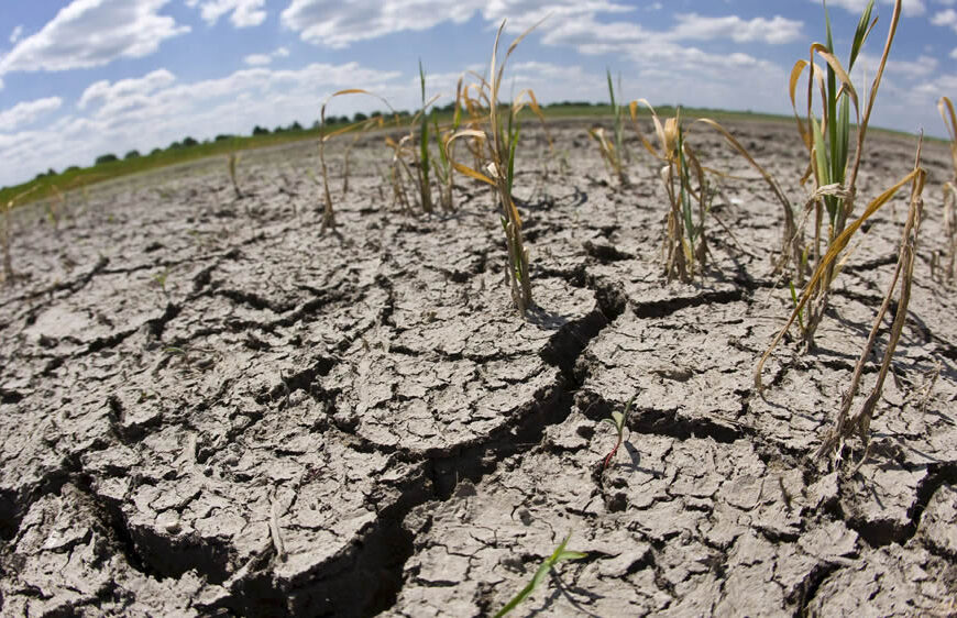 Declaran la emergencia agropecuaria en Catamarca por los efectos de la sequía