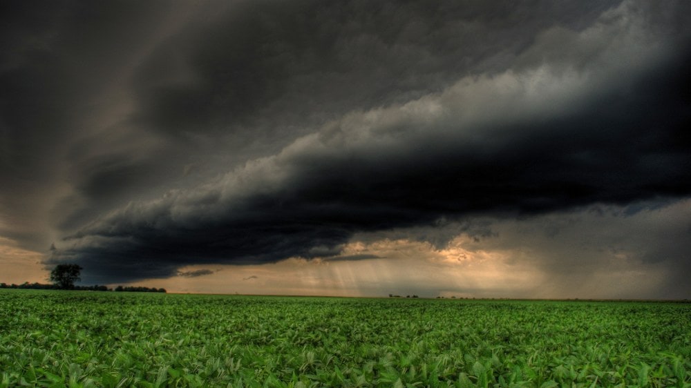 La lluvia dio un respiro al campo en medio de la sequía y permitirá avanzar con la siembra de soja