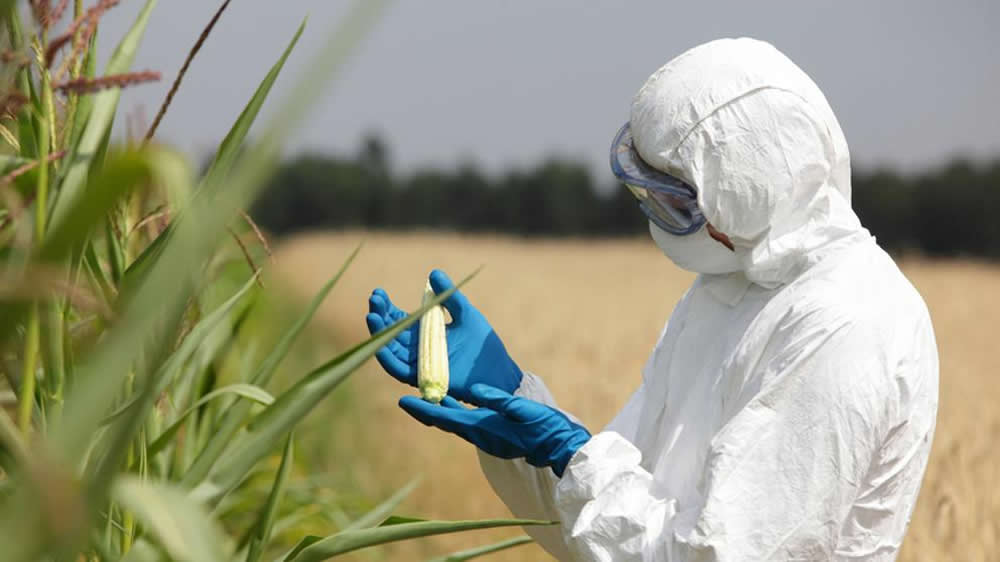 Consorcios microbianos y bio-control equilibrado de plagas y enfermedades