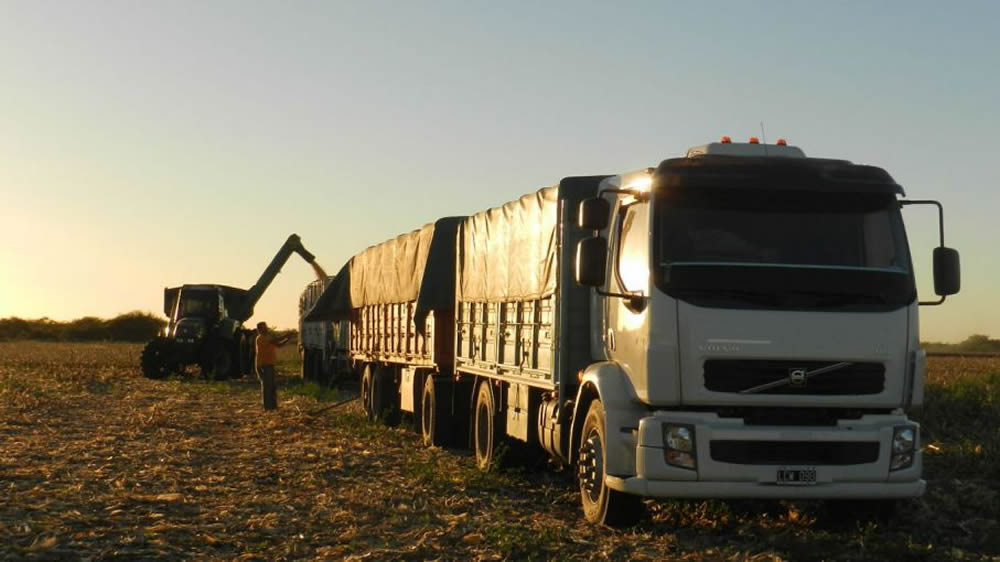 Camión bitren cargando granos